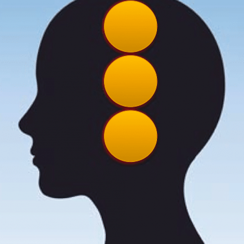 TRANSACTIONELE ANALYSE IN COACHING