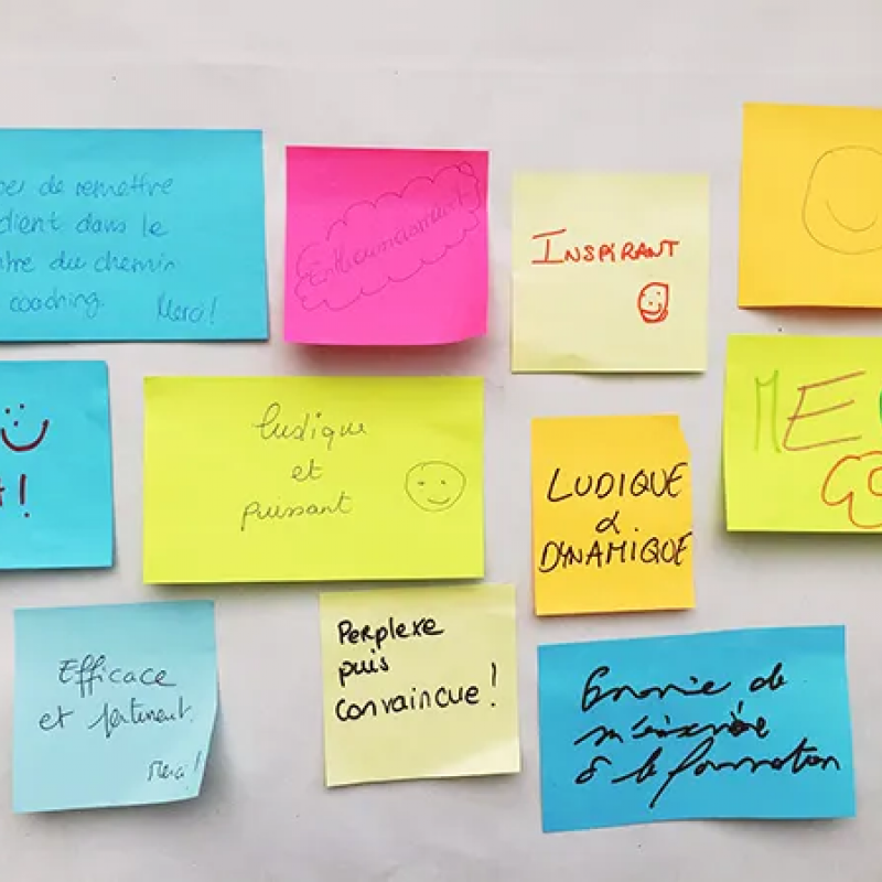 ICF-ACCREDITATIE VAN COACHINGOPLEIDINGEN